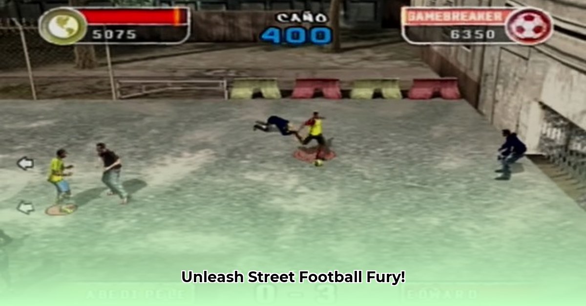 rom-ps2-fifa-street-2